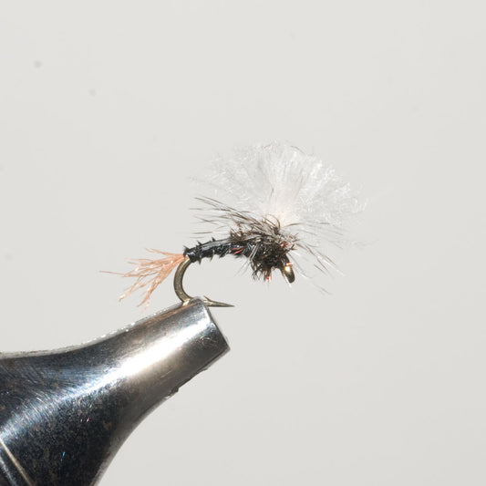 Birchell's Hatching Midge Dry Fly