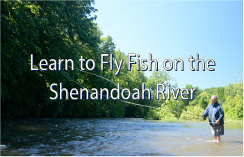 Learn to Fly Fish on the Shenandoah River in Virginia - Pictured is a man standing in the Shenandoah River casting a fly rod